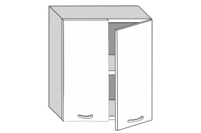 1.60.2 Луиза Шкаф настенный с двумя дверцами h 720 в Камышлове - kamyshlov.mebel-e96.ru | фото