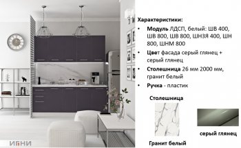 Кухонный гарнитур 2000 мм Агата (Игни) в Камышлове - kamyshlov.mebel-e96.ru
