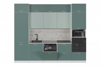 Кухонный гарнитур Асая экстра 2 3000 мм (Посудомойка) в Камышлове - kamyshlov.mebel-e96.ru