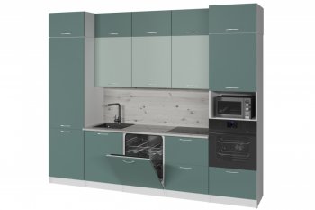 Кухонный гарнитур Асая экстра 2 3000 мм (Посудомойка) в Камышлове - kamyshlov.mebel-e96.ru