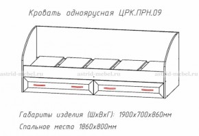 Набор детской мебели Принцесса (модульный) (АстридМ) в Камышлове - kamyshlov.mebel-e96.ru