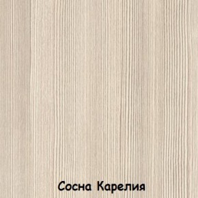 Набор детской мебели Вега Серия 2 (модульная) (СВ) в Камышлове - kamyshlov.mebel-e96.ru