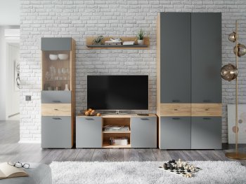 Стенка Дублин модульная (Текс) в Камышлове - kamyshlov.mebel-e96.ru