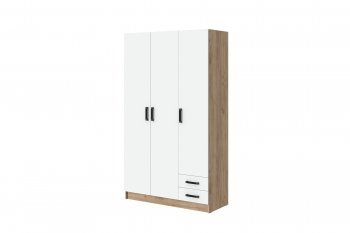 Шкаф 1200 мм Эконом без зеркала (Зарон) в Камышлове - kamyshlov.mebel-e96.ru
