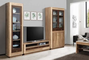 Стенка Фантазия модульная (Олмеко) в Камышлове - kamyshlov.mebel-e96.ru