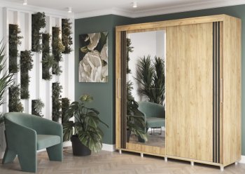 Шкаф-купе 2000 мм Форест крафт золотой(Стиль) в Камышлове - kamyshlov.mebel-e96.ru