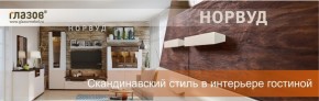 Горка Шерлок 2 ясень анкор светлый дуб сонома в Камышлове - kamyshlov.mebel-e96.ru