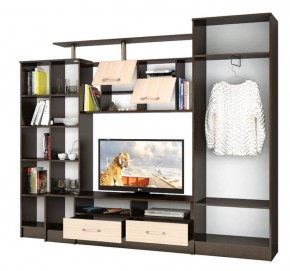 Гостиная Оскар-5 ясень шимо/дуб сонома (Текс) в Камышлове - kamyshlov.mebel-e96.ru