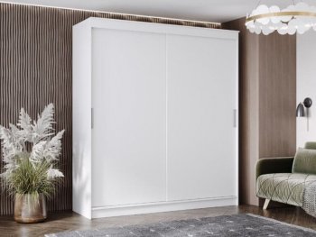 Шкаф-купе 2000 мм Гранд-1 ЛДСП, белый гладкий (Эра) в Камышлове - kamyshlov.mebel-e96.ru