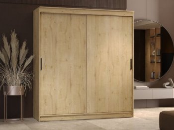 Шкаф-купе 2000 мм Гранд-1 ЛДСП, дуб вотан (Эра) в Камышлове - kamyshlov.mebel-e96.ru