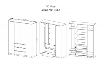 Шкаф распашной Мори 1600 мм графит (ДСВ) в Камышлове - kamyshlov.mebel-e96.ru