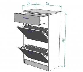 Обувница W21 (ДМ) в Камышлове - kamyshlov.mebel-e96.ru