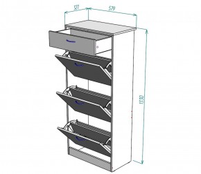 Обувница W23 (ДСС) в Камышлове - kamyshlov.mebel-e96.ru