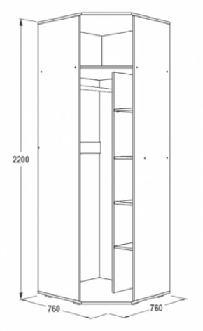 Шкаф 1-но дверный угловой Ольга-14 (760*760) в Камышлове - kamyshlov.mebel-e96.ru