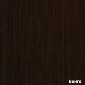 Шкаф-купе Бассо 7-600 07 (полки слева) в Камышлове - kamyshlov.mebel-e96.ru