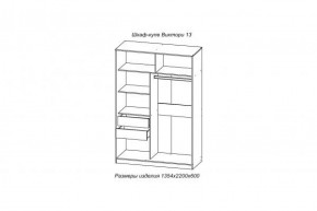 Шкаф-купе ВИКТОРИ-13 Анкор темный в Камышлове - kamyshlov.mebel-e96.ru