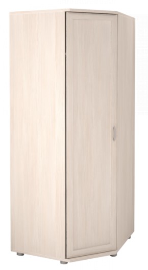 Шкаф угловой для одежды Ника-Люкс 30 с зеркалами в Камышлове - kamyshlov.mebel-e96.ru