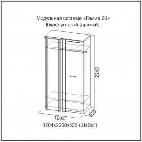 Шкаф угловой (ПРЯМОЙ) серия Гамма-20 в Камышлове - kamyshlov.mebel-e96.ru