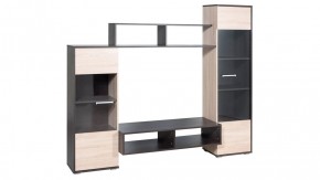 Стенка Рио (Гор) в Камышлове - kamyshlov.mebel-e96.ru