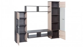 Стенка Рио (Гор) в Камышлове - kamyshlov.mebel-e96.ru