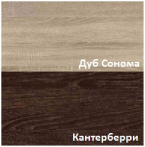 Стенка Рио (Гор) в Камышлове - kamyshlov.mebel-e96.ru