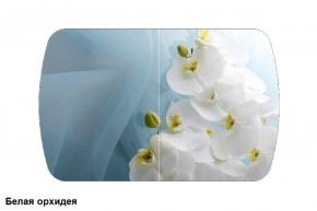Стол Бостон 2 (1100*700) опоры Брифинг (Стекло/фотопечать Белая орхидея) в Камышлове - kamyshlov.mebel-e96.ru | фото
