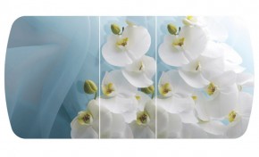 Стол Бостон-3 (Белая Орхидея) 1100/1420*700, опора Брифинг в Камышлове - kamyshlov.mebel-e96.ru