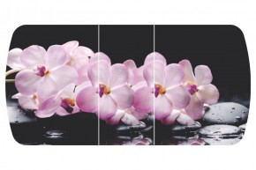 Стол Бостон-3 (Розовая Орхидея) 1100/1420*700, опора Брифинг в Камышлове - kamyshlov.mebel-e96.ru