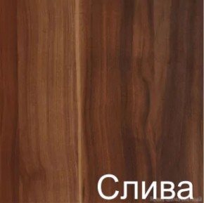 Стол-книжка (1-65) (ГК) в Камышлове - kamyshlov.mebel-e96.ru