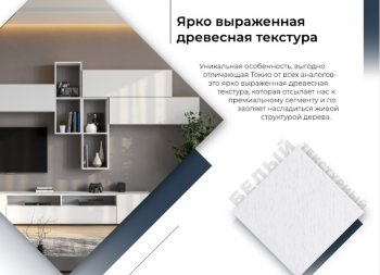 Стенка Токио комп.3 (СВ) в Камышлове - kamyshlov.mebel-e96.ru