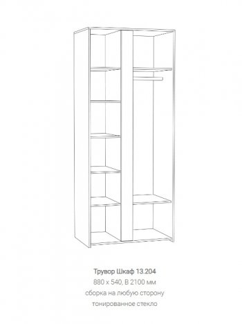 Шкаф Трувор 13.204 в Камышлове - kamyshlov.mebel-e96.ru