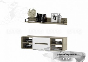 Тумба ТВ ТБ-16 Наоми (БТС) в Камышлове - kamyshlov.mebel-e96.ru