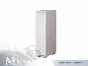 Тумба узкая ТБ-21 Кимберли (БТС) в Камышлове - kamyshlov.mebel-e96.ru