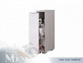 Тумба узкая ТБ-21 Кимберли (БТС) в Камышлове - kamyshlov.mebel-e96.ru