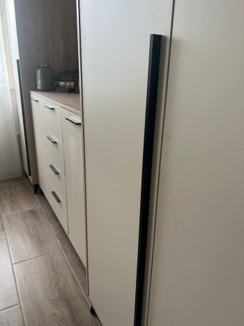 Шкаф 1360 3С2Я с ящиками Ева Сатин (Памир) в Камышлове - kamyshlov.mebel-e96.ru